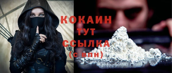 дживик Михайловск