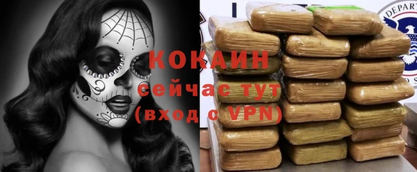 стафф Аша